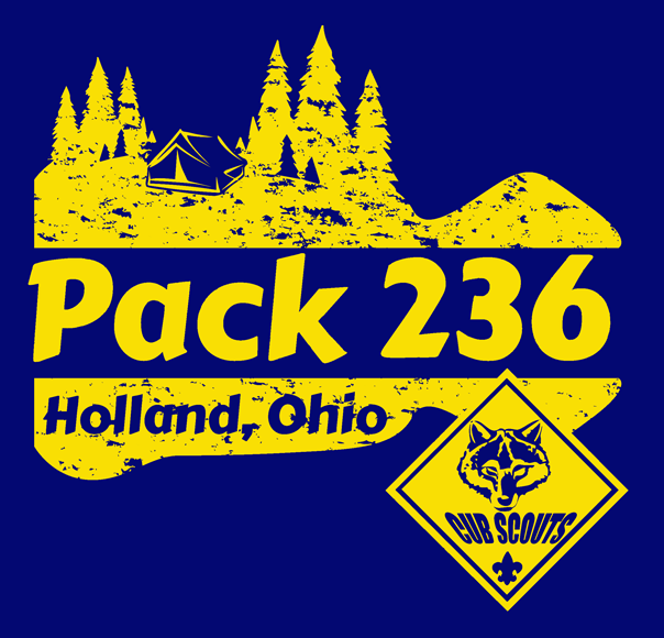 BSA Pack 236